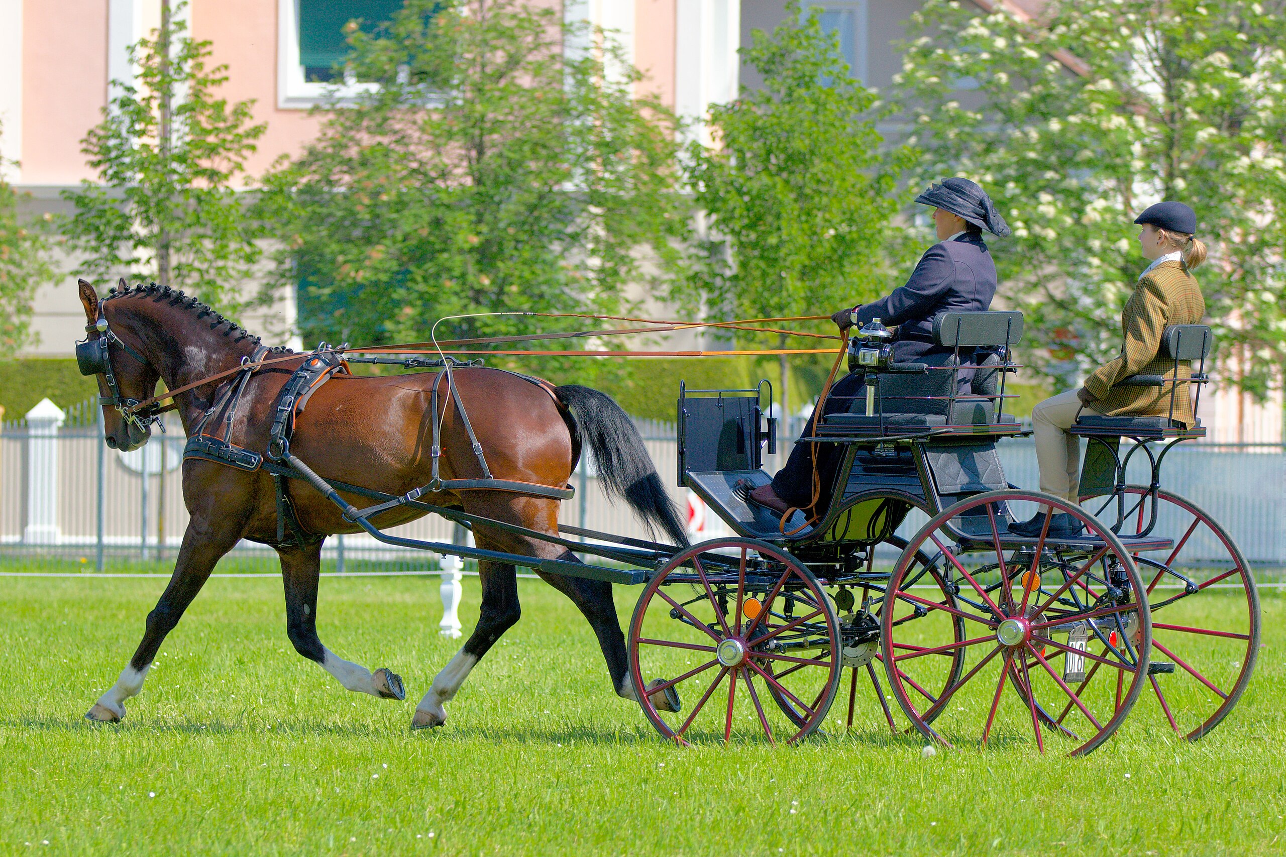 carriage