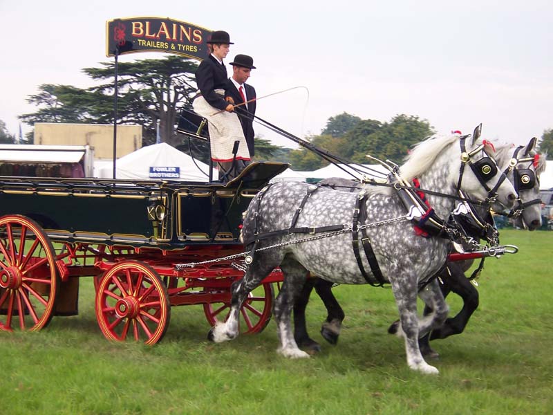 Wagon